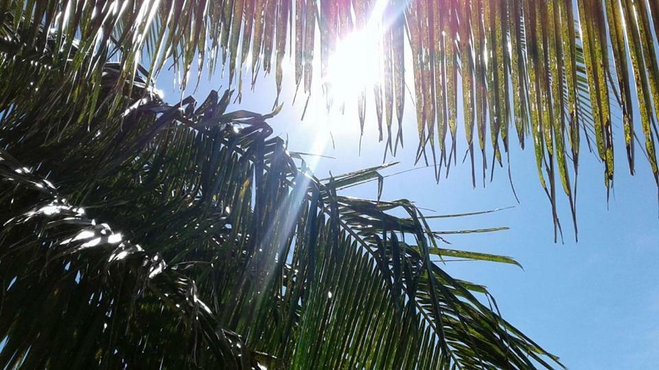 Vacation Beach Fales Hotel Manase Exterior photo